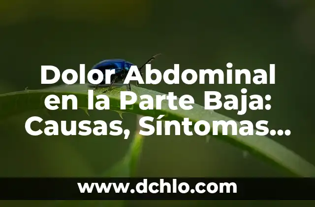 Significado Emocional del Dolor de Espalda Baja 4 Dolor Abdominal en la Parte Baja: Causas, Síntomas y Tratamientos