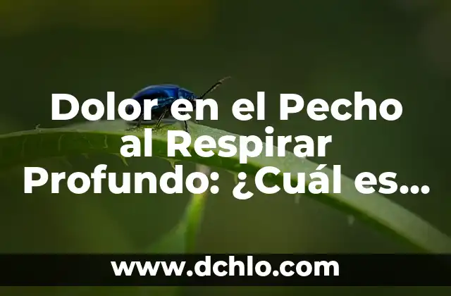 ¿Cuál es la Luz de Cruce? Guía Completa y Detallada 7 Dolor en el Pecho al Respirar Profundo: ¿Cuál es la Causa?