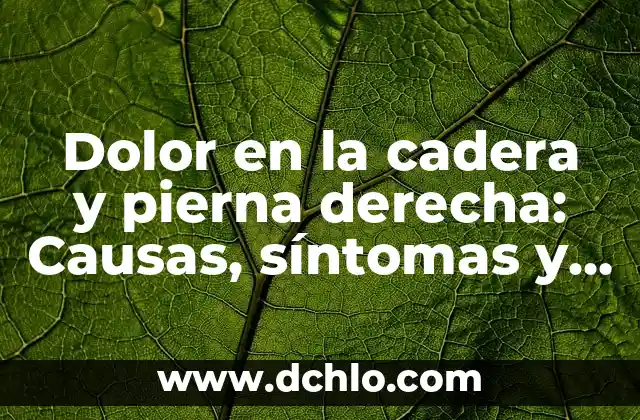 Dolor Intenso en el Dedo Gordo de la Mano Derecha: Causas y Tratamientos 7 Dolor en la cadera y pierna derecha: Causas, síntomas y tratamiento