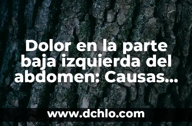 Dolor en la parte baja del abdomen en hombres: causas y tratamiento 7 Dolor en la parte baja izquierda del abdomen: Causas y Soluciones