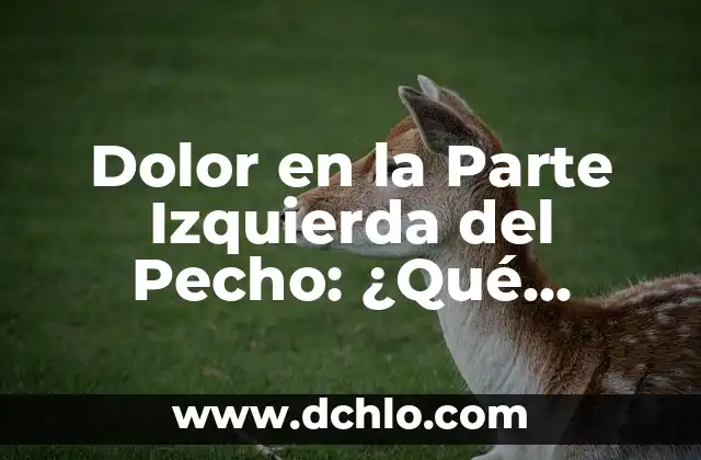 ¿Cuál es la Izquierda y Cuál es la Derecha? 5 Dolor en la Parte Izquierda del Pecho: ¿Qué Puede Ser?
