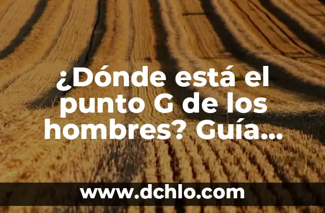 Programación de Televisión de Esta Noche: Guía Completa y Actualizada 8 ¿Dónde está el punto G de los hombres? Guía completa y actualizada
