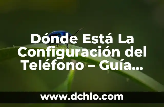 Cómo Se Toman Las Semillas de Chía: Guía Definitiva 5 Dónde Está La Configuración del Teléfono – Guía Completa