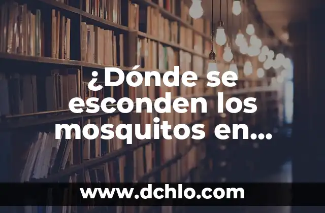 El Patriarcado en La Casa de Papel: Un Análisis Profundo 4 ¿Dónde se esconden los mosquitos en casa? – Descubre los lugares más comunes
