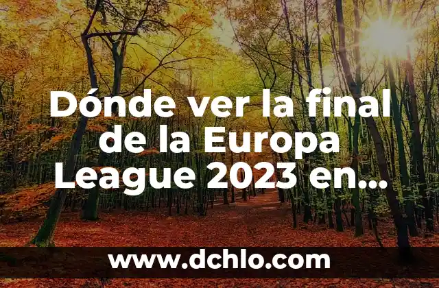 ¿Por qué el Osasuna no va a Europa? Análisis detallado 5 Dónde ver la final de la Europa League 2023 en vivo