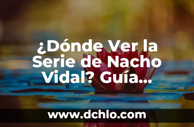 Cómo Ver el Historial de Google: Guía Completa y Actualizada 6 ¿Dónde Ver la Serie de Nacho Vidal? Guía Completa