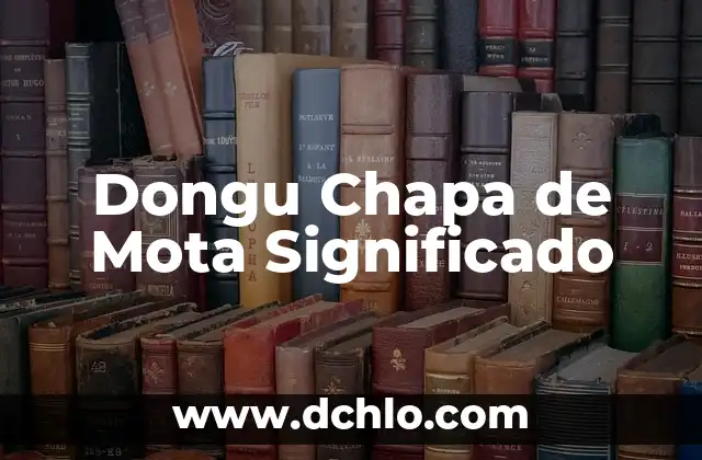 Cómo hacer techo de chapa para garage 5 Dongu Chapa de Mota Significado