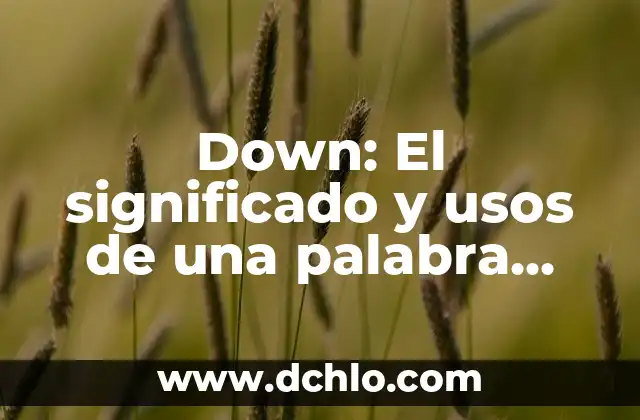 Cómo se escribe síndrome de Down: Guía completa y detallada 5 Down: El significado y usos de una palabra versátil
