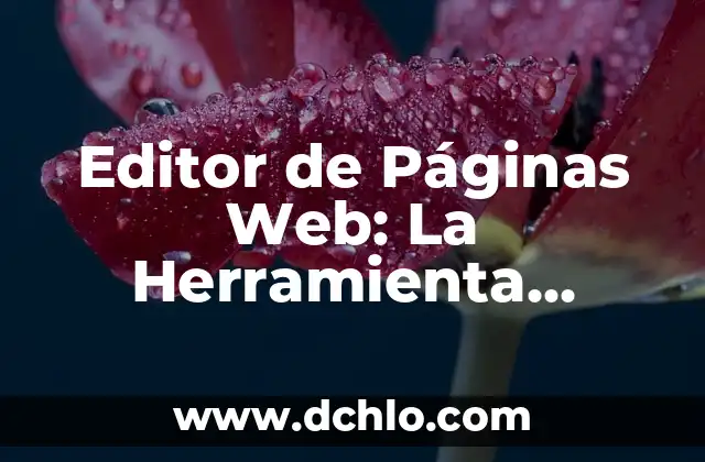 Editor de Páginas Web: La Herramienta Esencial para el Diseño Web