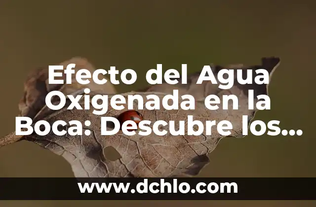 Para qué sirve la chía en ayunas: beneficios y propiedades 4 Efecto del Agua Oxigenada en la Boca: Descubre los Beneficios y Riesgos