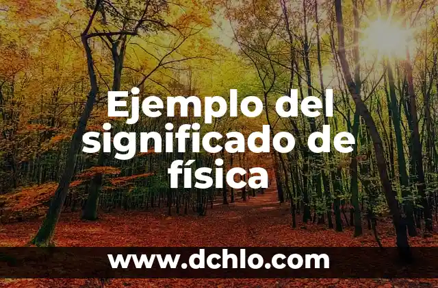Origen y significado de huapango 6 Ejemplo del significado de física