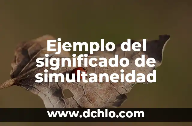 Origen y significado de huapango 3 Ejemplo del significado de simultaneidad