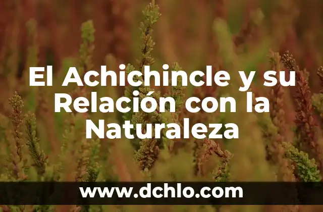 ¿Cuál es el animal más bonito del mundo? - Descubre los más bellos seres de la naturaleza 3 El Achichincle y su Relación con la Naturaleza