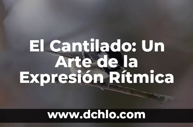 Introducción al Arte de los Ídolos de Barro 5 El Cantilado: Un Arte de la Expresión Rítmica