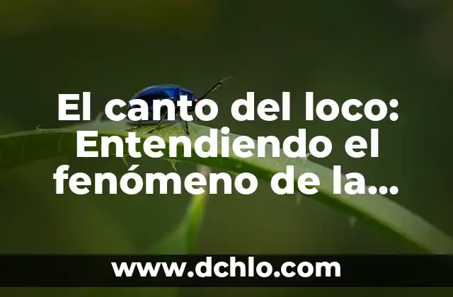 Ver el significado de acústica: Entendiendo el sonido y sus aplicaciones 7 El canto del loco: Entendiendo el fenómeno de la música urbana en España