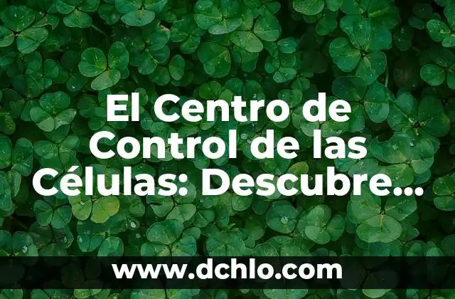 Significado del Municipio de Centro: Un Enfoque Detallado 8 El Centro de Control de las Células: Descubre su Importancia