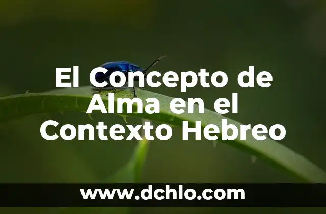 La erradicación de la pobreza y su significado en el contexto social actual 6 El Concepto de Alma en el Contexto Hebreo