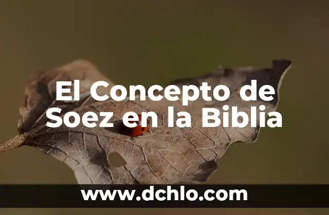 El Concepto de Subrogación y su Importancia 7 El Concepto de Soez en la Biblia