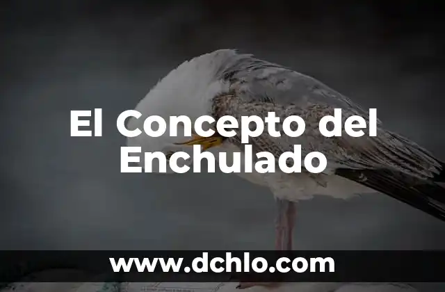 La Distorsión del Concepto de Evolución 8 El Concepto del Enchulado