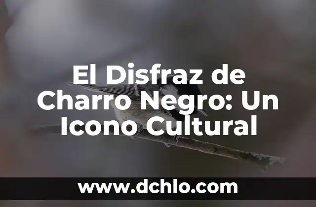 Cómo hacer un disfraz de puerro 6 El Disfraz de Charro Negro: Un Icono Cultural