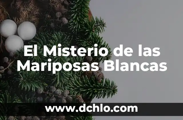 Mesoamérica: El Misterio del Cincalco en la Cultura Esotérica 4 El Misterio de las Mariposas Blancas