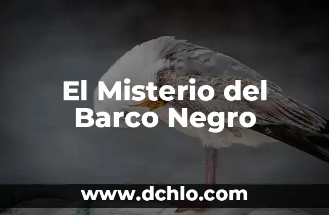 Significado de un Brazalete Negro 5 El Misterio del Barco Negro