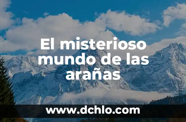 Las Arañas Más Grandes del Mundo: ¿Cuáles Son las Especies más Impresionantes? 3 El misterioso mundo de las arañas
