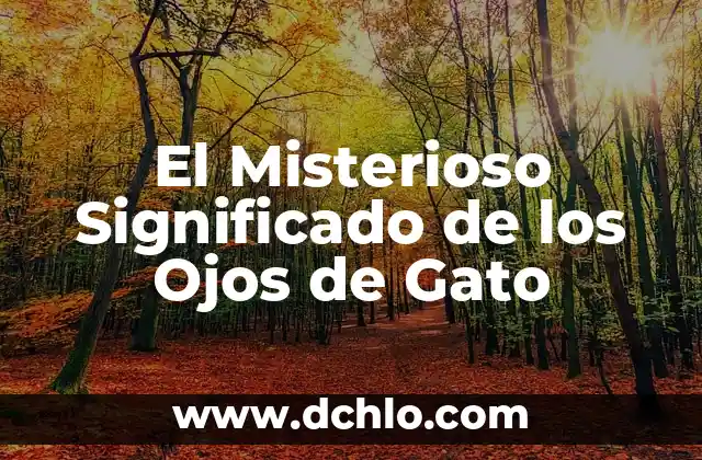 Cómo hacer una marioneta de gato con un calcetín 4 El Misterioso Significado de los Ojos de Gato