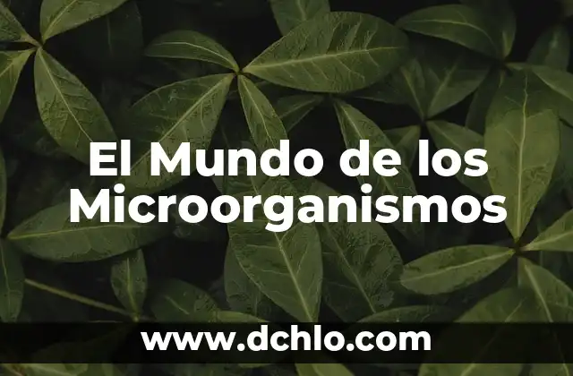 El Mundo de los Microorganismos