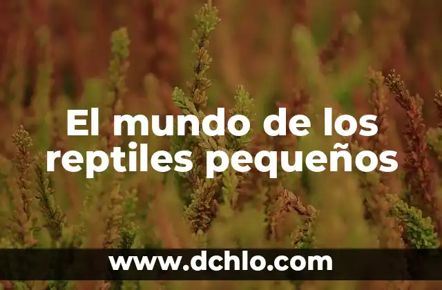 El Mundo de los Lexicógrafos 5 El mundo de los reptiles pequeños