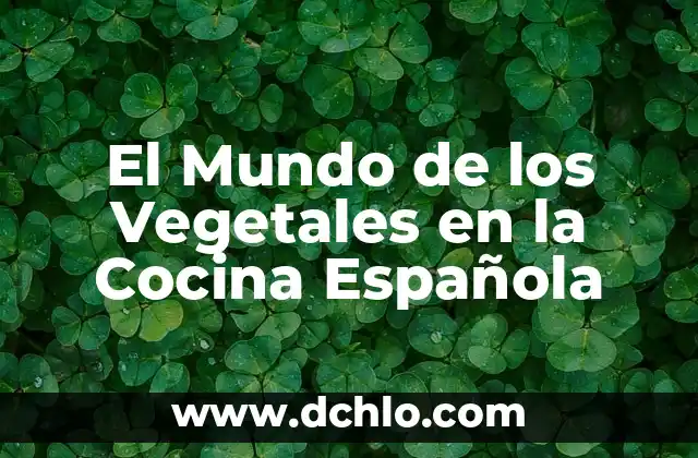 Aspic: El significado en la cocina y su importancia 8 El Mundo de los Vegetales en la Cocina Española