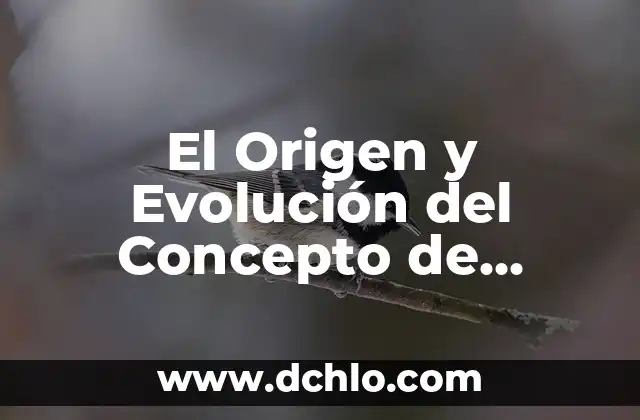 Hocico Significado de la Palabra - Descubre su Origen y Usos 4 El Origen y Evolución del Concepto de Cultura