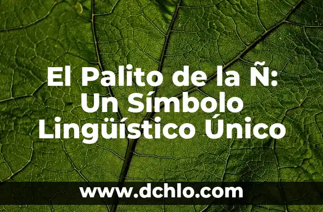 Formulario Único de Afiliación Significado 3 El Palito de la Ñ: Un Símbolo Lingüístico Único