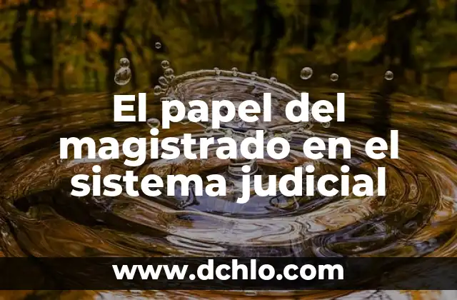 Meninges - Significado y Función en el Sistema Nervioso 5 El papel del magistrado en el sistema judicial