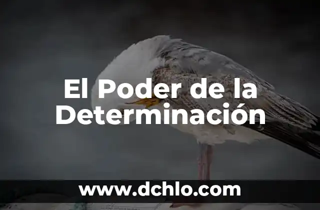 Michel Foucault y el Poder de la Escritura 5 El Poder de la Determinación