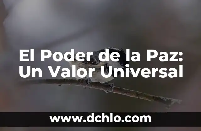 Valor y significado de correlación 8 El Poder de la Paz: Un Valor Universal