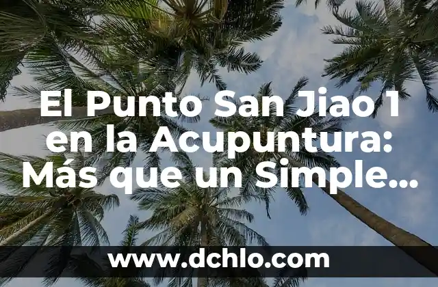 Cómo hacer el seno a la menos 1 en Excel 4 El Punto San Jiao 1 en la Acupuntura: Más que un Simple Punto