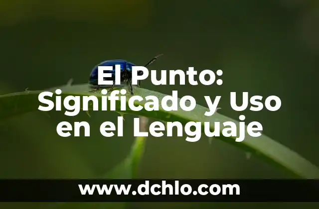 Significado y Uso de Batons 3 El Punto: Significado y Uso en el Lenguaje