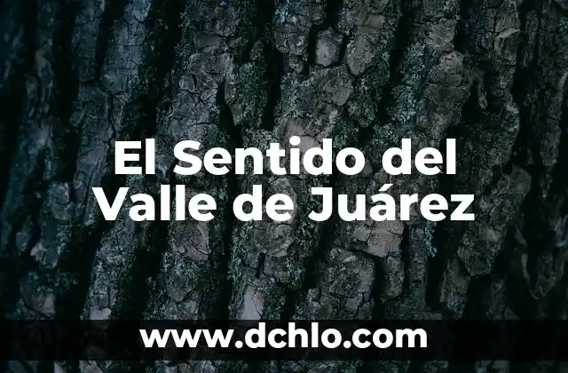 El Sentido Emocional del Embarazo Ectópico 8 El Sentido del Valle de Juárez