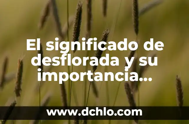 El Disfraz de Charro Negro: Un Icono Cultural 7 El significado de desflorada y su importancia cultural