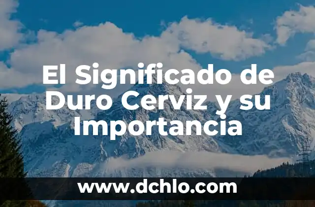 La Cuota de Recuperación y su Importancia 8 El Significado de Duro Cerviz y su Importancia