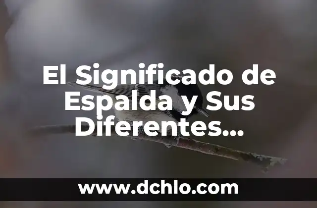 Significado de Logos de Guías Mayores 6 El Significado de Espalda y Sus Diferentes Contextos