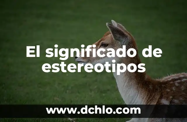 Descubriendo los estereotipos: un viaje al origen de los prejuicios sociales 6 El significado de estereotipos
