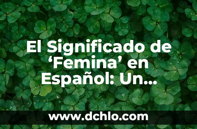 Significado en Español de Febrero: Un Análisis Detallado 3 El Significado de ‘Femina’ en Español: Un Análisis Detallado
