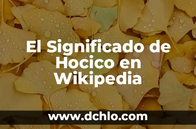 El Significado de Hocico en Wikipedia