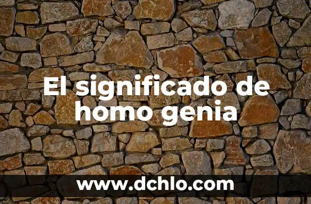 Artesanías de Veracruz y su Significado 6 El significado de homo genia