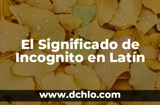 Significado de Vale en Latín 4 El Significado de Incognito en Latín