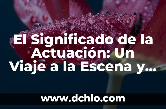 Cómo hacer captura de una escena en Netflix 4 El Significado de la Actuación: Un Viaje a la Escena y Más Allá