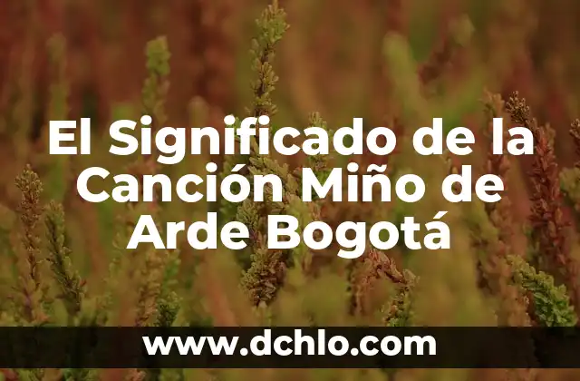 El Significado de la Canción Miño de Arde Bogotá