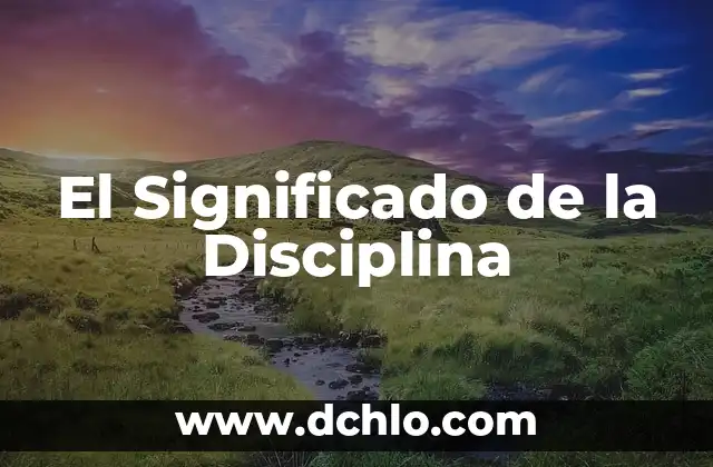 El significado de disipar: Comprensión y aplicaciones 6 El Significado de la Disciplina